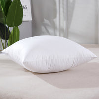 Throw Pillow Sofa Cushion