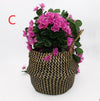 Laundry Storage Baskets